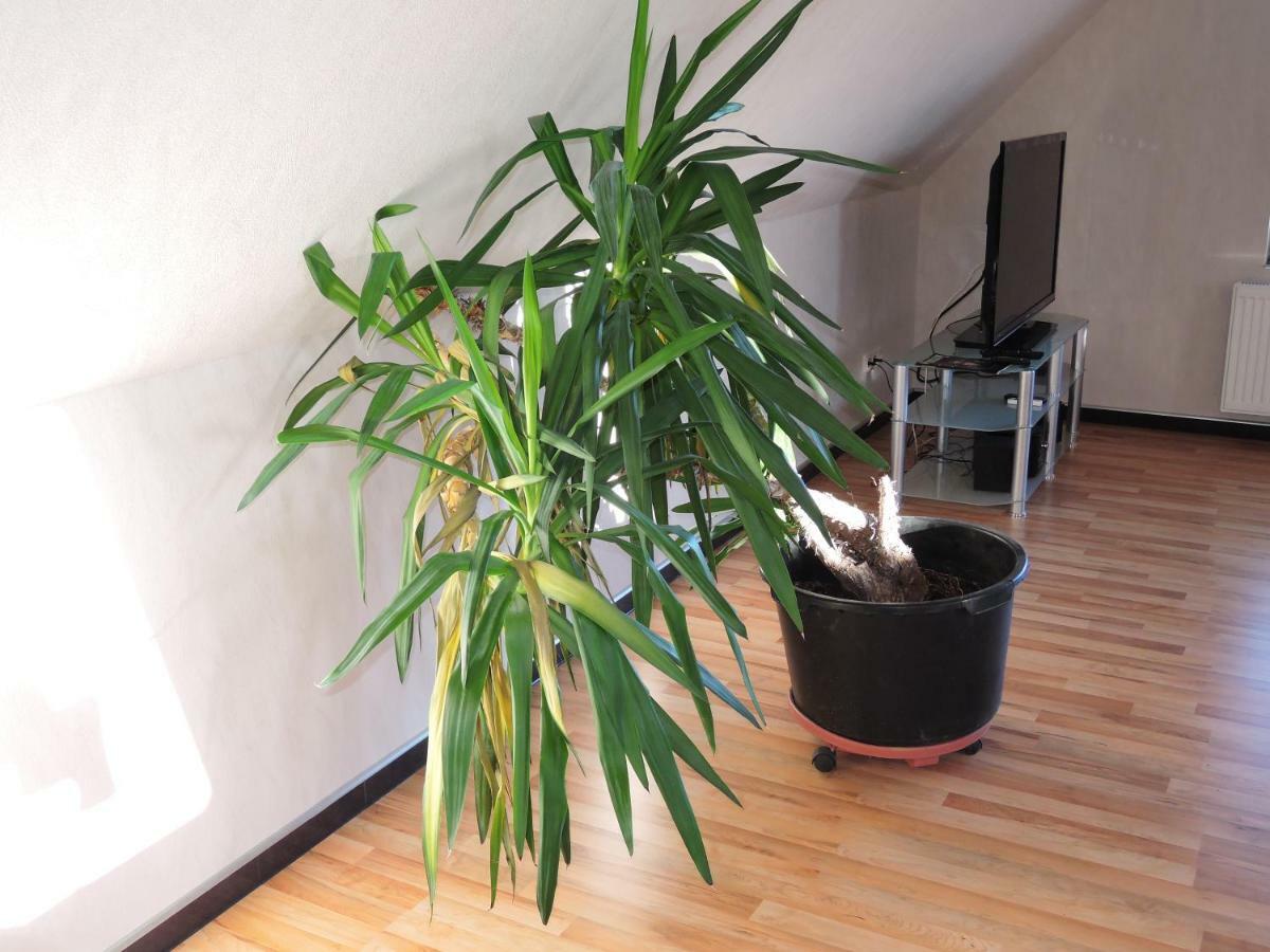 Guesthouse "Southside Of Hamburg" 외부 사진